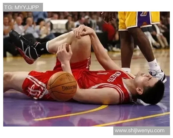 詹姆斯与姚明的对决背后隐藏的伤痛与荣耀的故事